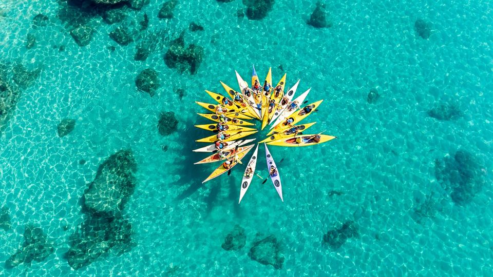 Kayak: Escursioni guidate e noleggio