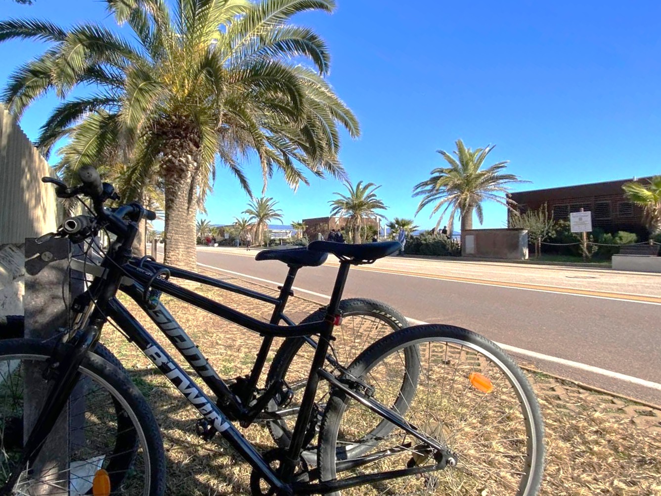 Galleria fotografica partner Luca 9