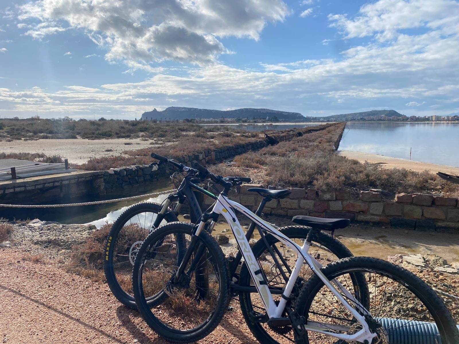 Galleria fotografica partner Luca 7