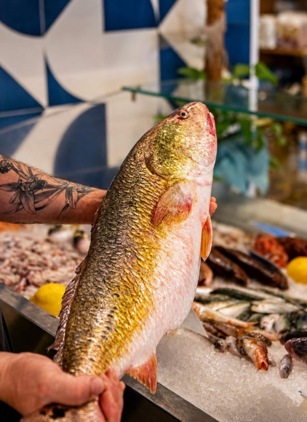 Piatto di pesce da Pescheria Bianchi a Cagliari