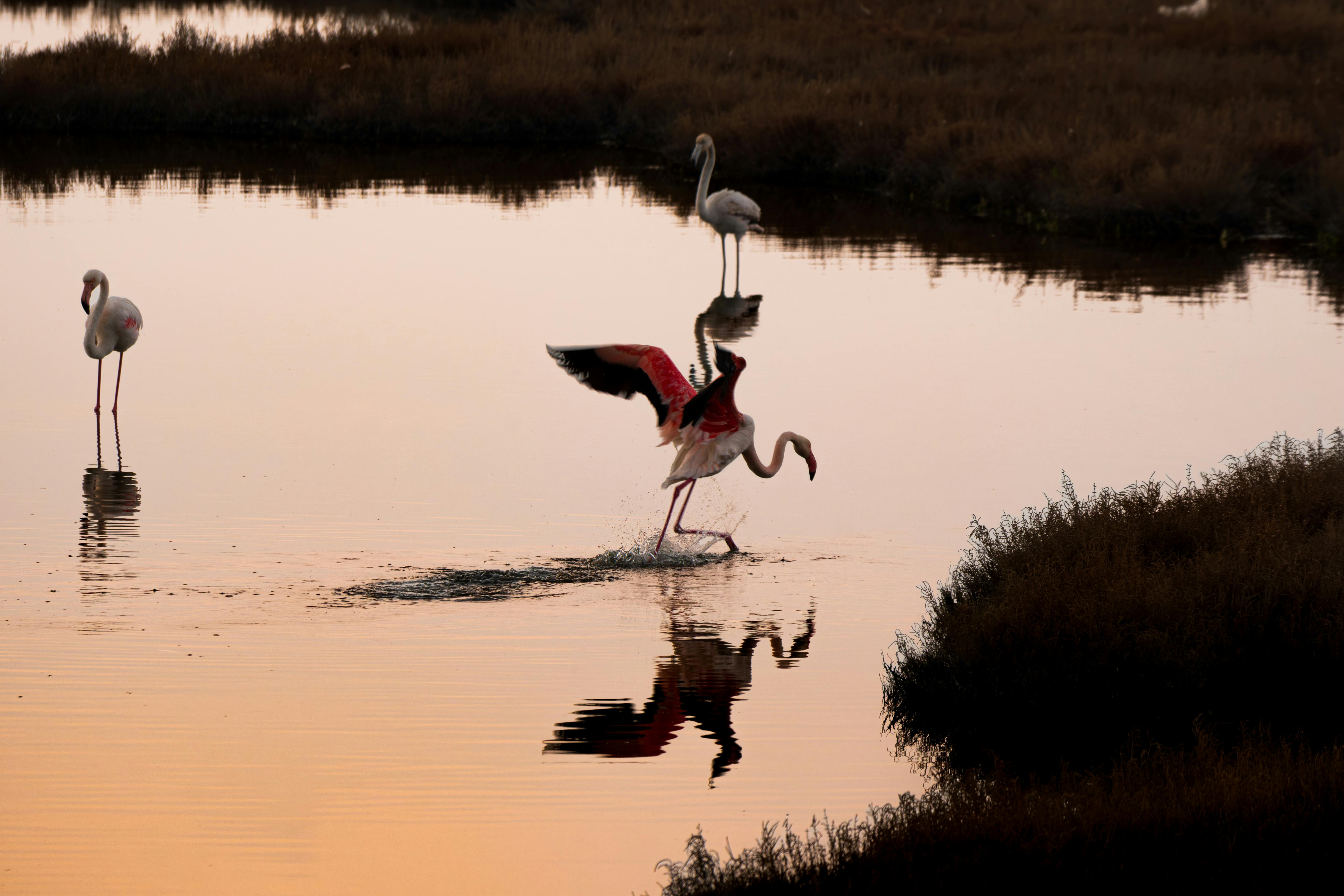 Percorso bici alle saline di Cagliari