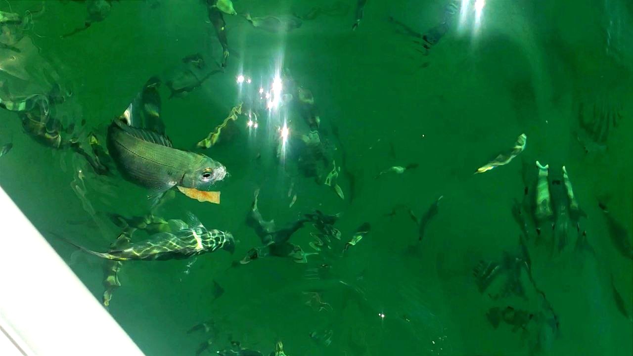 Galleria fotografica partner Walter 11